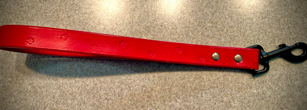 Dog Control Leash