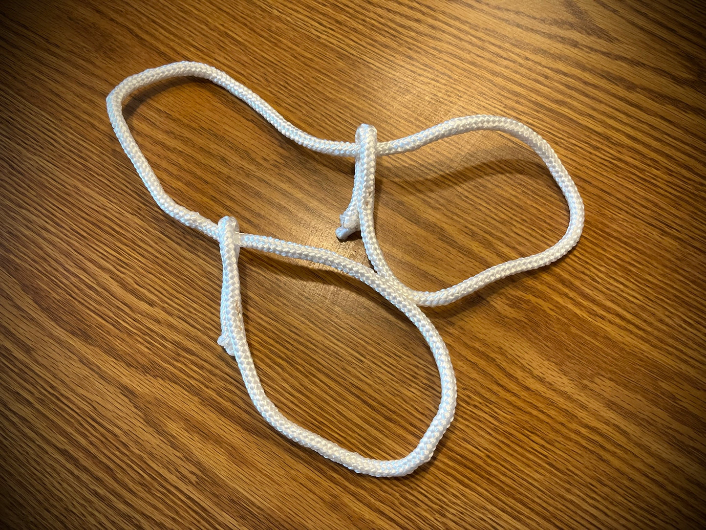 Dog training leash