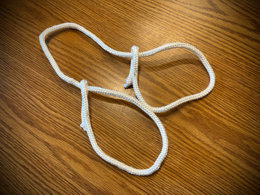 Dog training leash